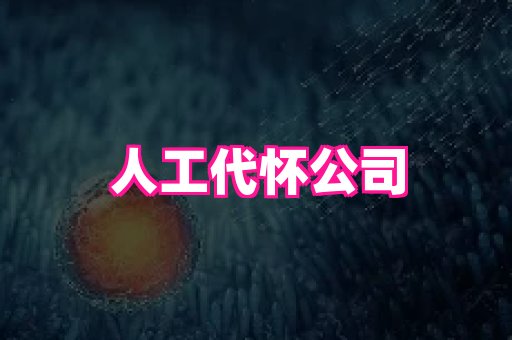 swisee孕网 1