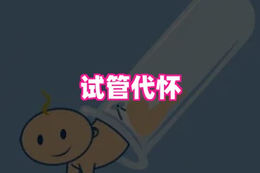 swisee孕网 2