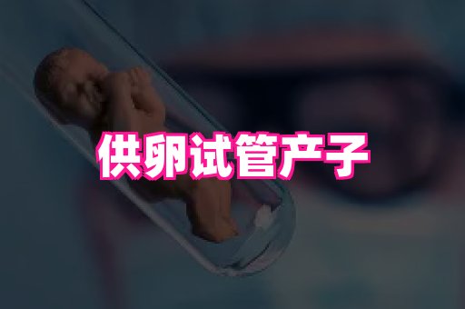 swisee孕网 3